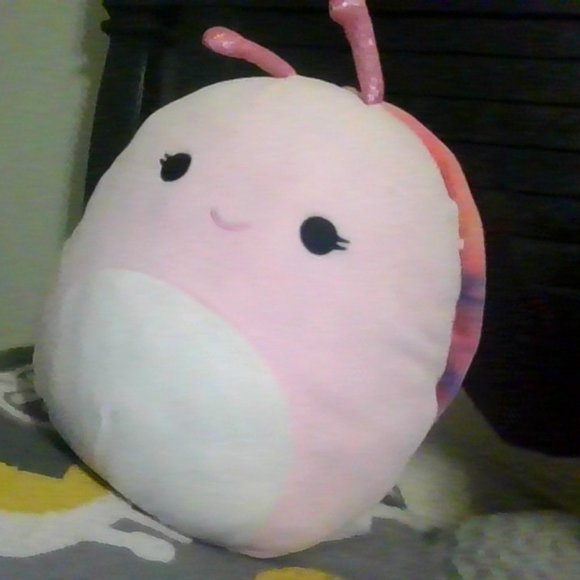 Other - Silvina 12" Squishmallow NWT